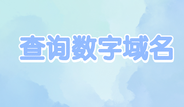 查詢數(shù)字域名